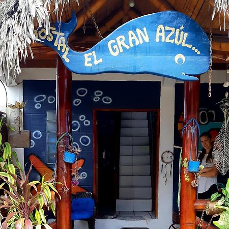 Hostel El Gran Azul Olón Dış mekan fotoğraf