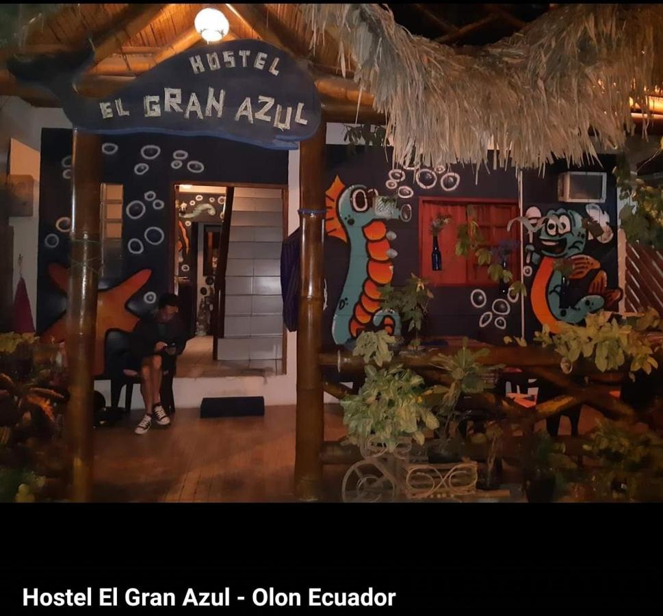 Hostel El Gran Azul Olón Dış mekan fotoğraf
