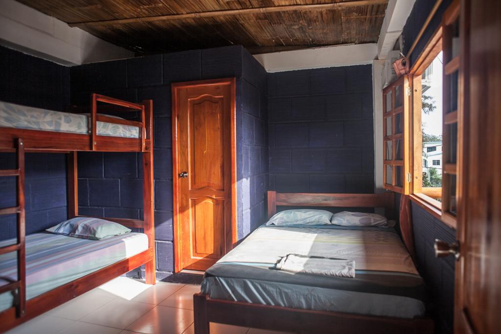 Hostel El Gran Azul Olón Oda fotoğraf