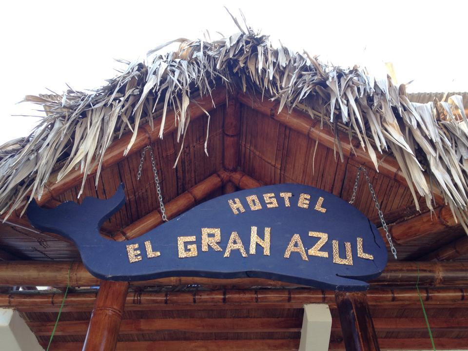 Hostel El Gran Azul Olón Oda fotoğraf
