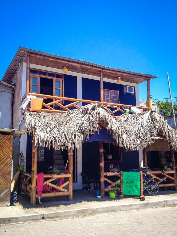 Hostel El Gran Azul Olón Dış mekan fotoğraf